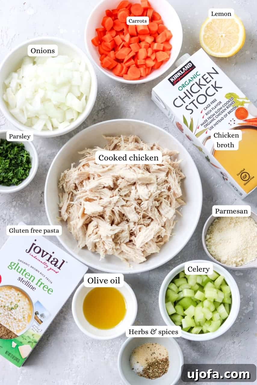 ingredients for gluten free chicken soup with pastina