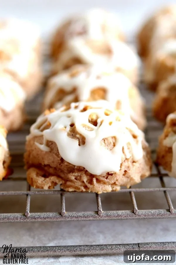 Gluten-Free Cinnamon Biscuit Balls - a delightful breakfast treat