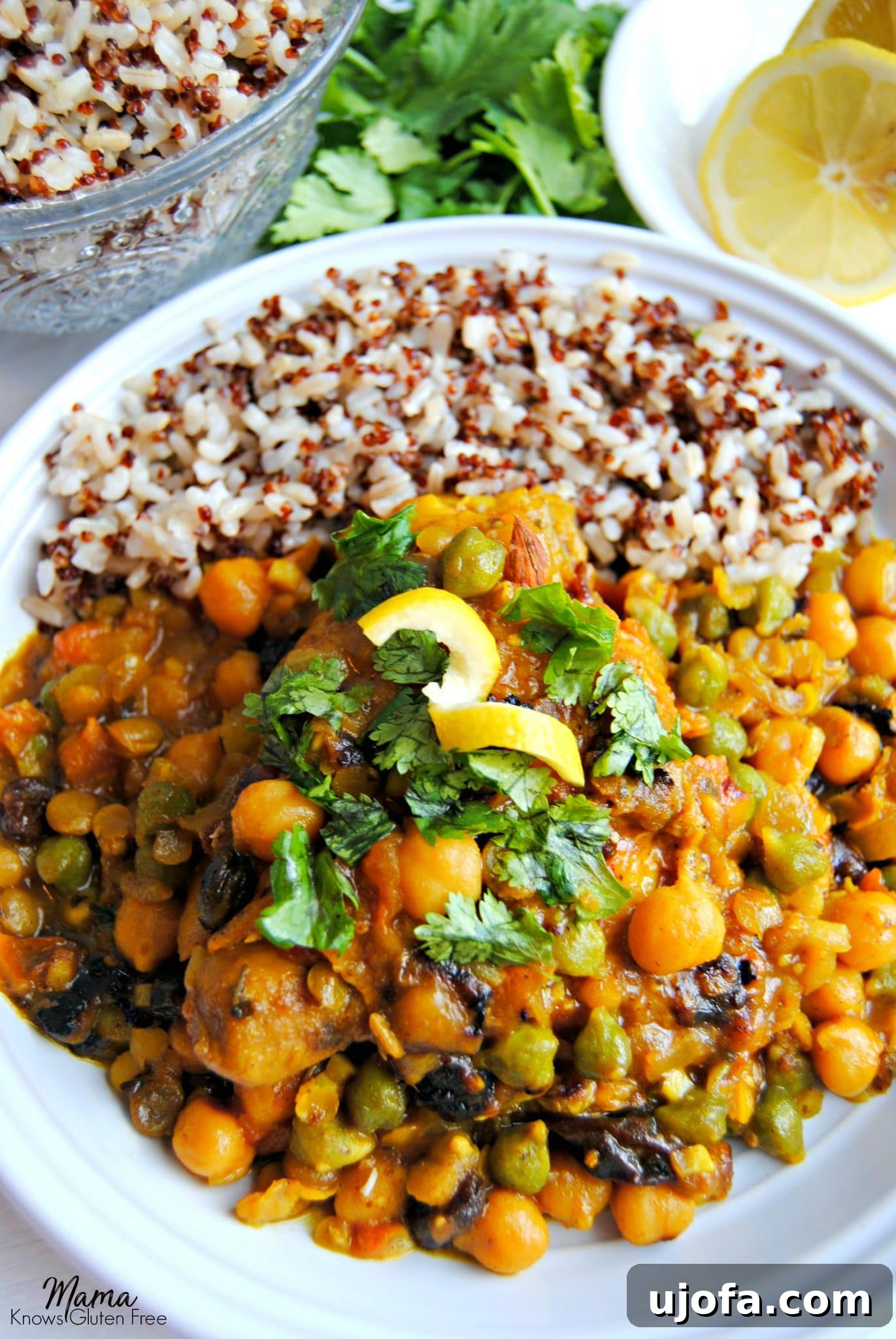 Vibrant Moroccan Chicken Gluten and Dairy Free 2 Gluten-Free Moroccan Chicken smothered in rich sauce with garbanzo beans and lentils