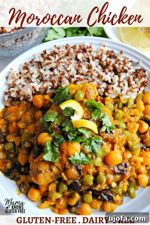 Vibrant Moroccan Chicken Gluten and Dairy Free 5 Full plate of Gluten-Free Moroccan Chicken with rice and fresh cilantro garnish, ready to serve