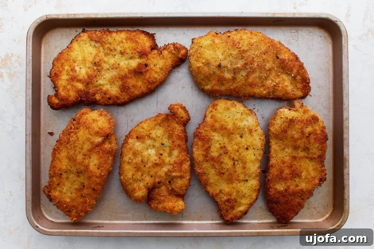 Irresistible Gluten-Free Chicken Parm 12 Pan-fried, golden-brown gluten-free chicken breasts arranged neatly in a greased baking dish, ready for the next steps.