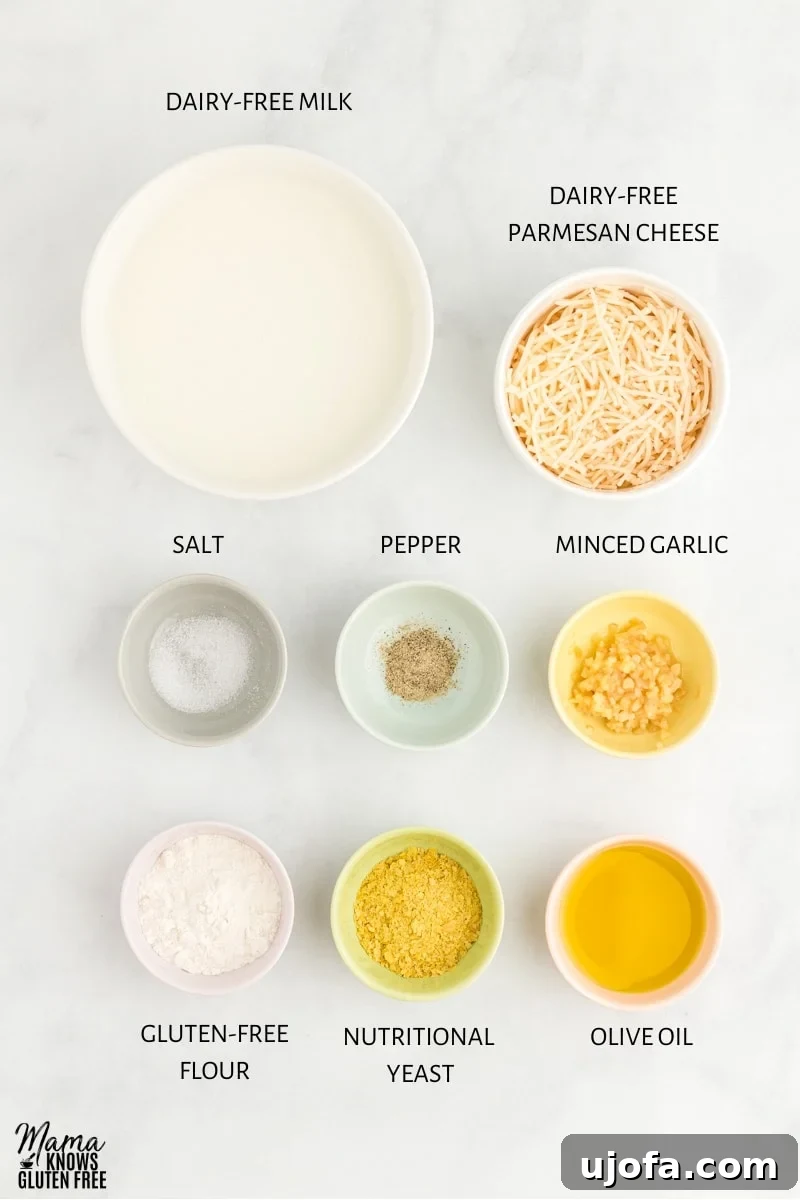 Velvety Plant-Based Alfredo 3 Carefully arranged ingredients for dairy-free Alfredo sauce, including dairy-free milk, olive oil, garlic, gluten-free flour, dairy-free Parmesan, and nutritional yeast.