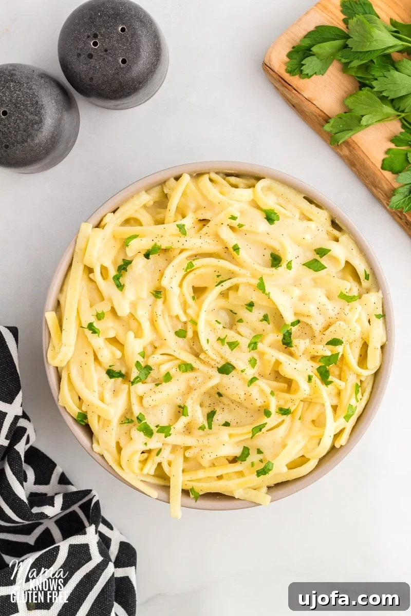Velvety Plant-Based Alfredo 4 Luxurious and creamy dairy-free Alfredo sauce simmering gently in a stainless steel saucepan, ready to be served.