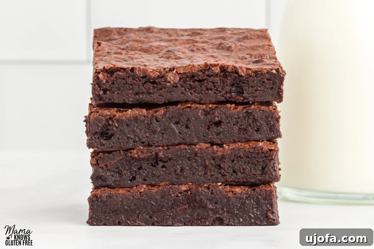 Fudgy Flourless Delights 2 flourless brownies stacked on top of each other with a white background