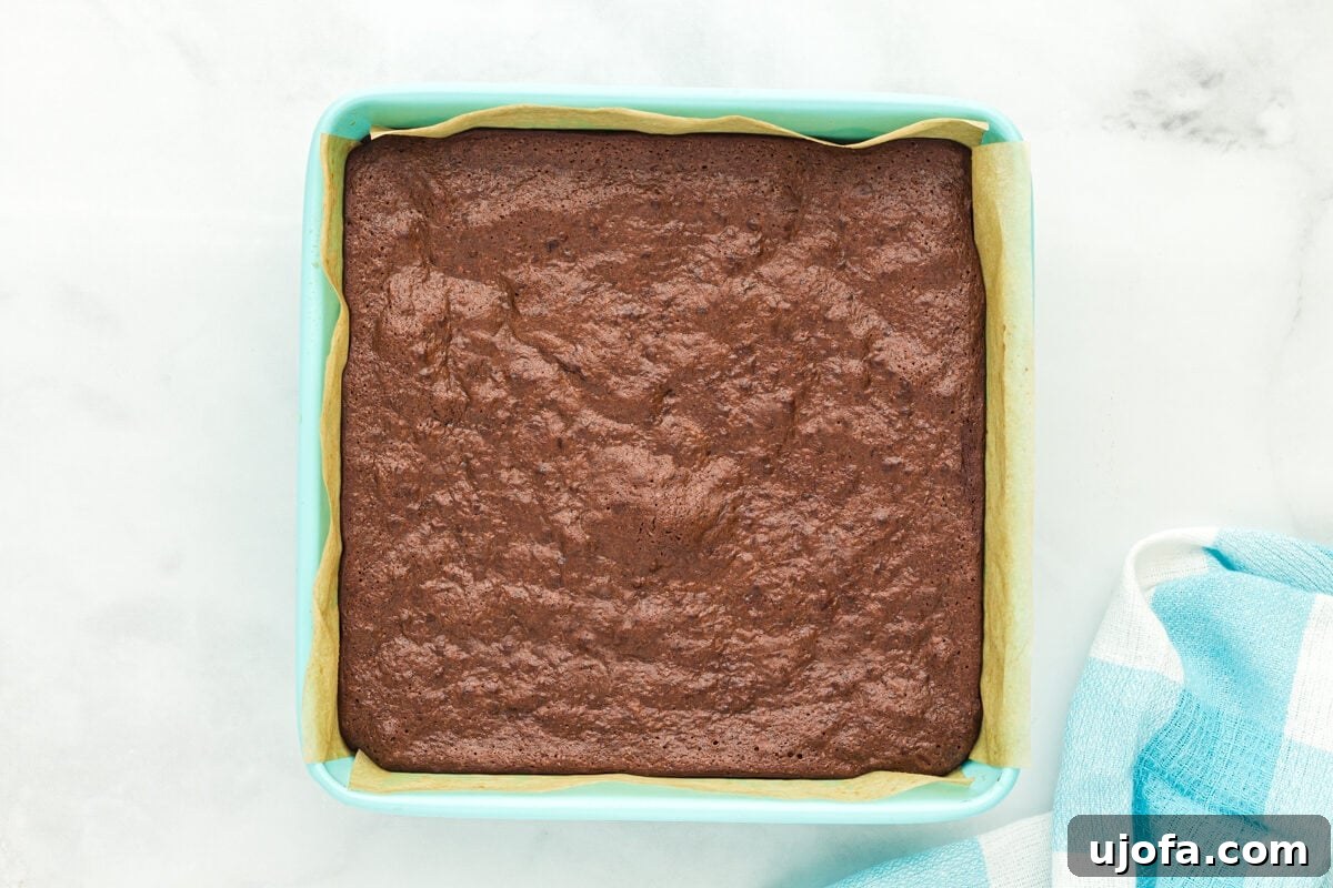 Fudgy Flourless Delights 11 Baked flourless brownies in a brownie pan.