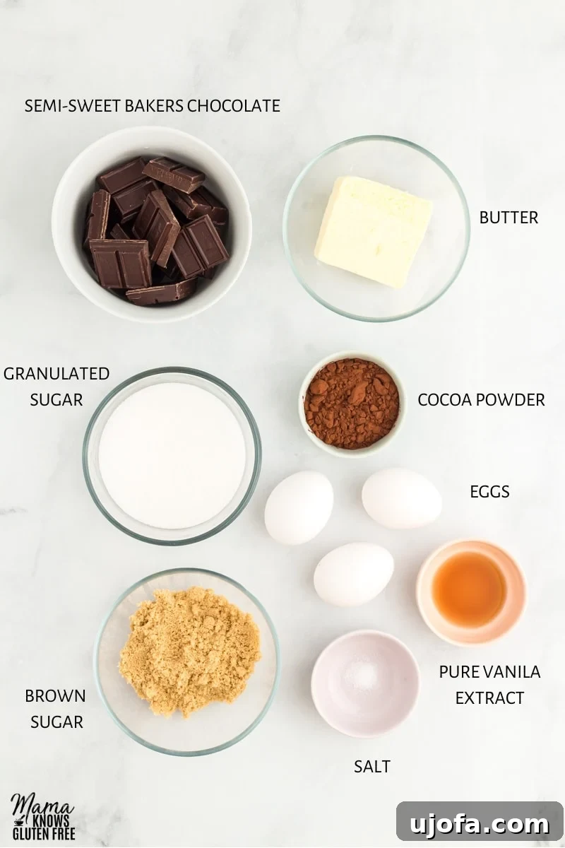 Fudgy Flourless Delights 3 flourless brownies recipe ingredients