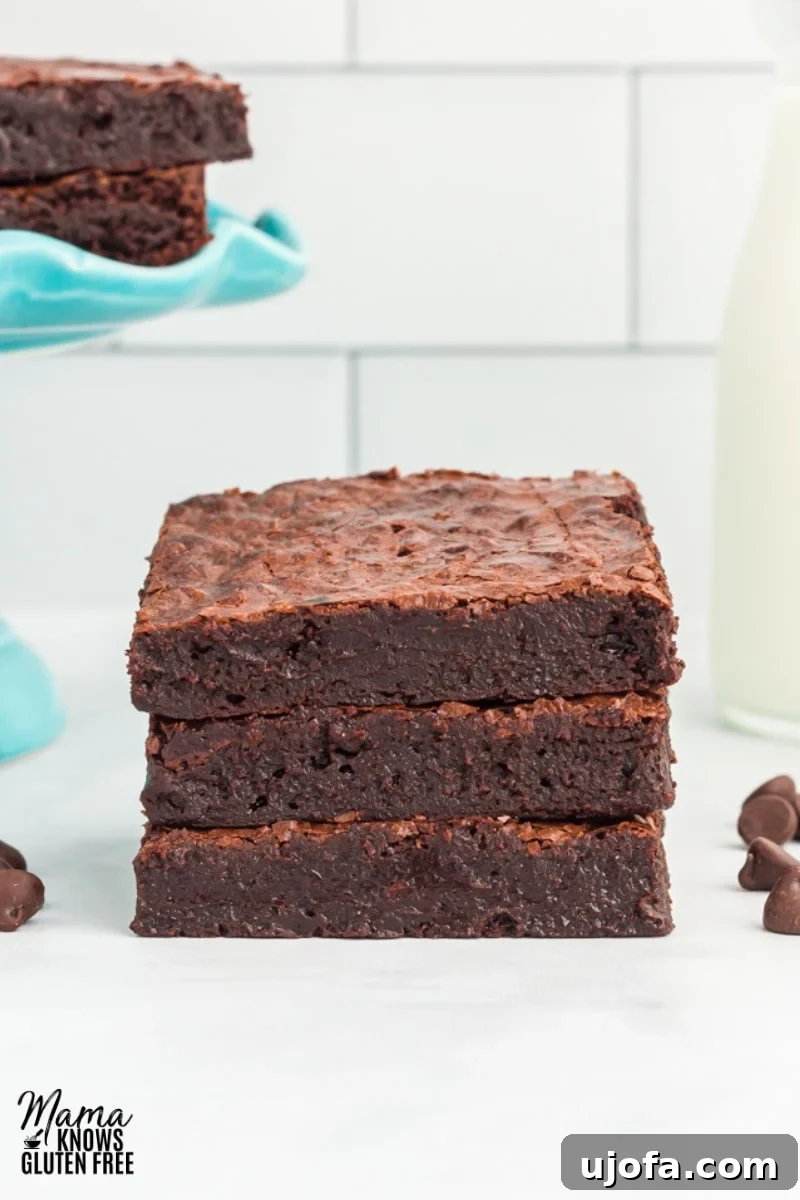 Fudgy Flourless Delights 5 img 15685 4