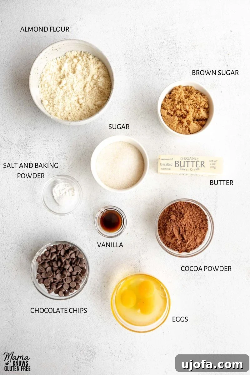 Collection of ingredients used in making Almond Flour Brownies, neatly arranged for preparation.