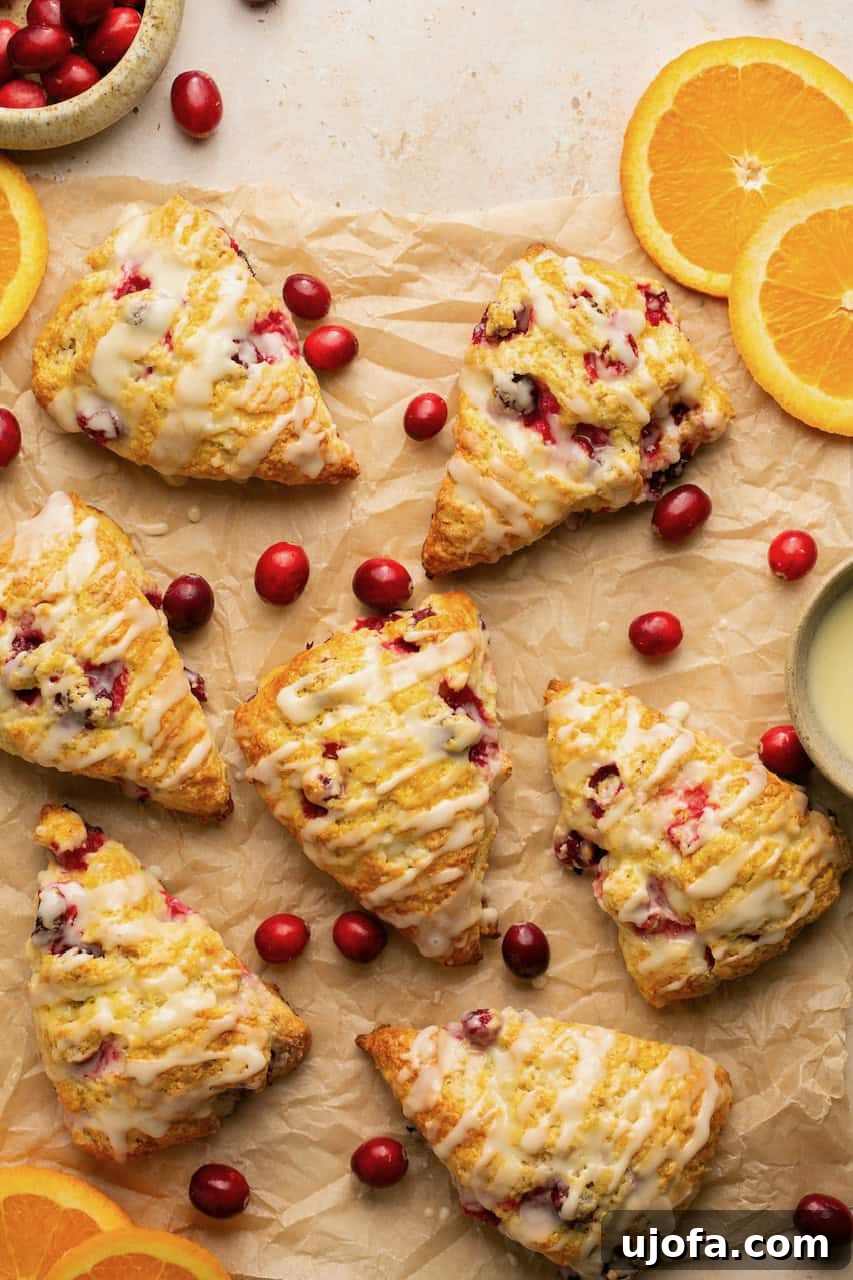 7 Scones on Parchment Paper with Cranberries and Orange