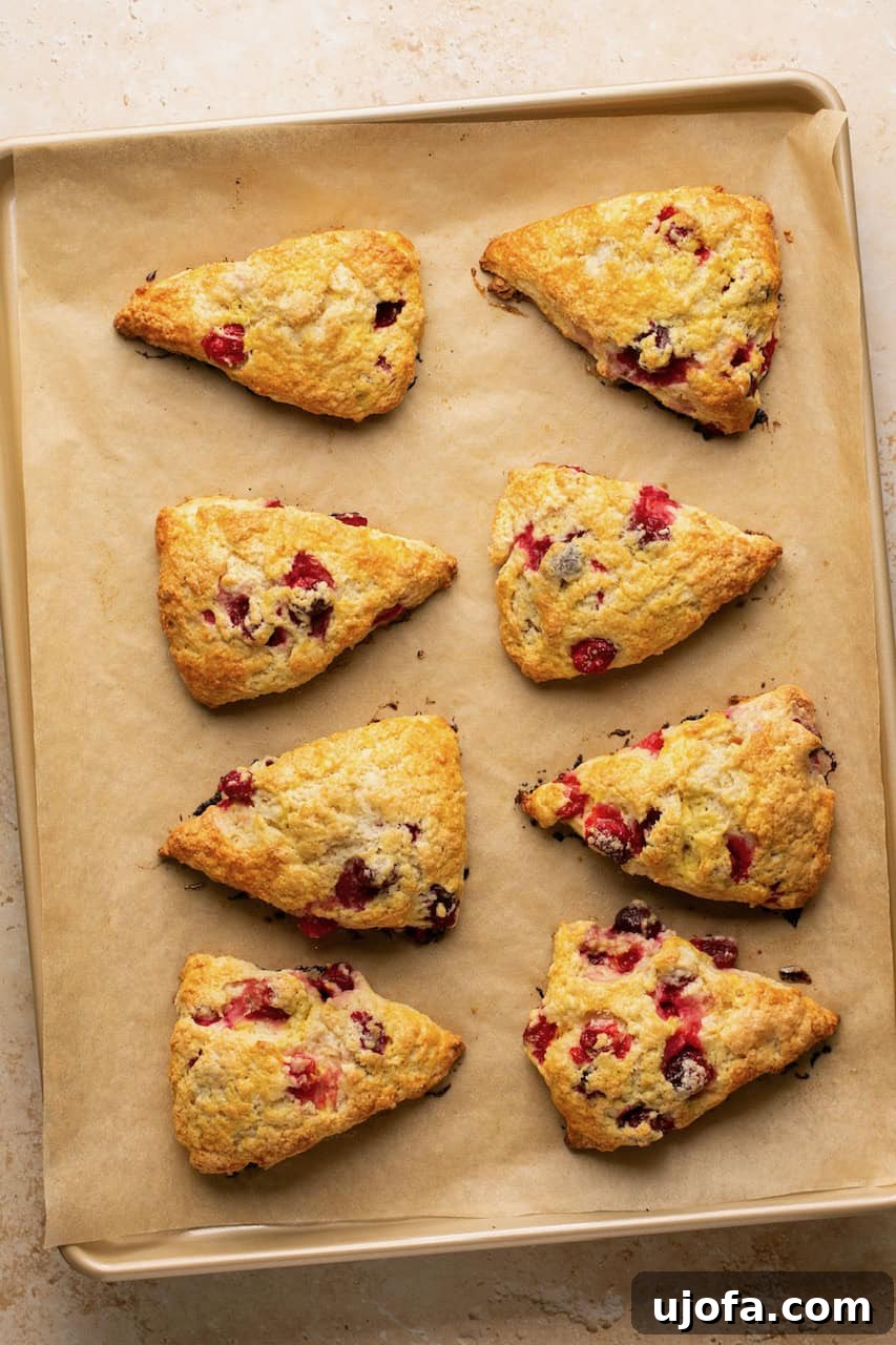 Baked Scones on a Cookie Sheet