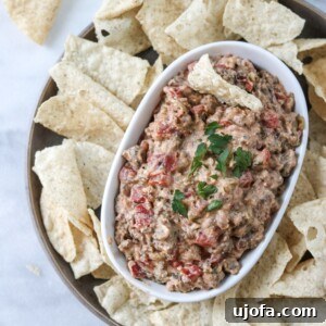 Irresistible Dairy-Free Sausage Dip Paleo Keto 3 Dairy-Free Sausage Dip