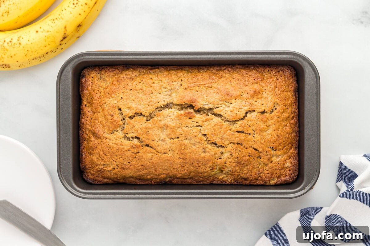 Freshly baked oat flour banana bread in a loaf pan.