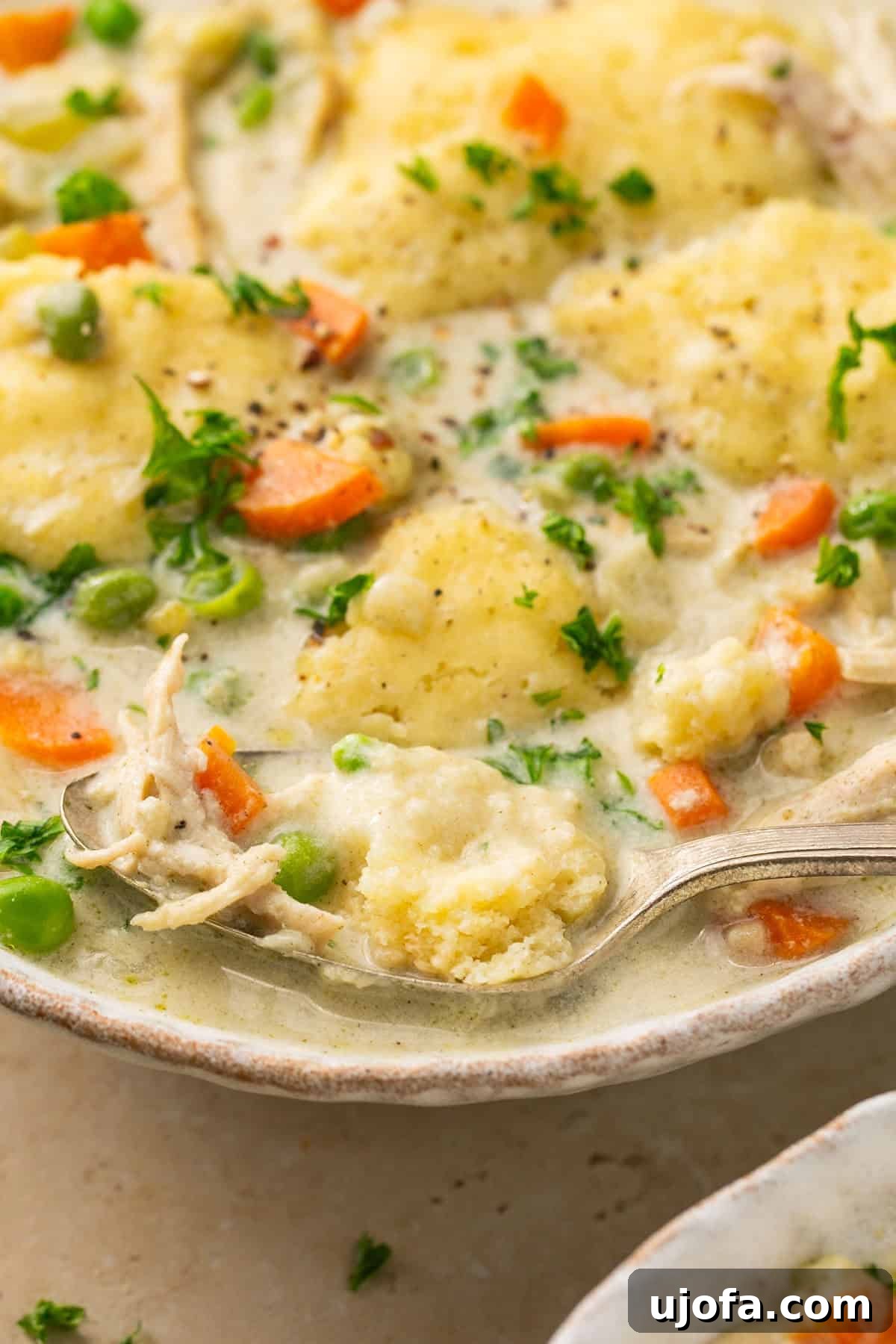 Effortless Gluten-Free Chicken and Dumplings 9 A close-up, appetizing view of a bowl filled with gluten-free chicken and dumplings, highlighting the texture of the dumplings and rich broth.