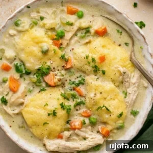 Effortless Gluten-Free Chicken and Dumplings 10 gluten free chicken and dumplings in a bowl with a spoon topped with parsley