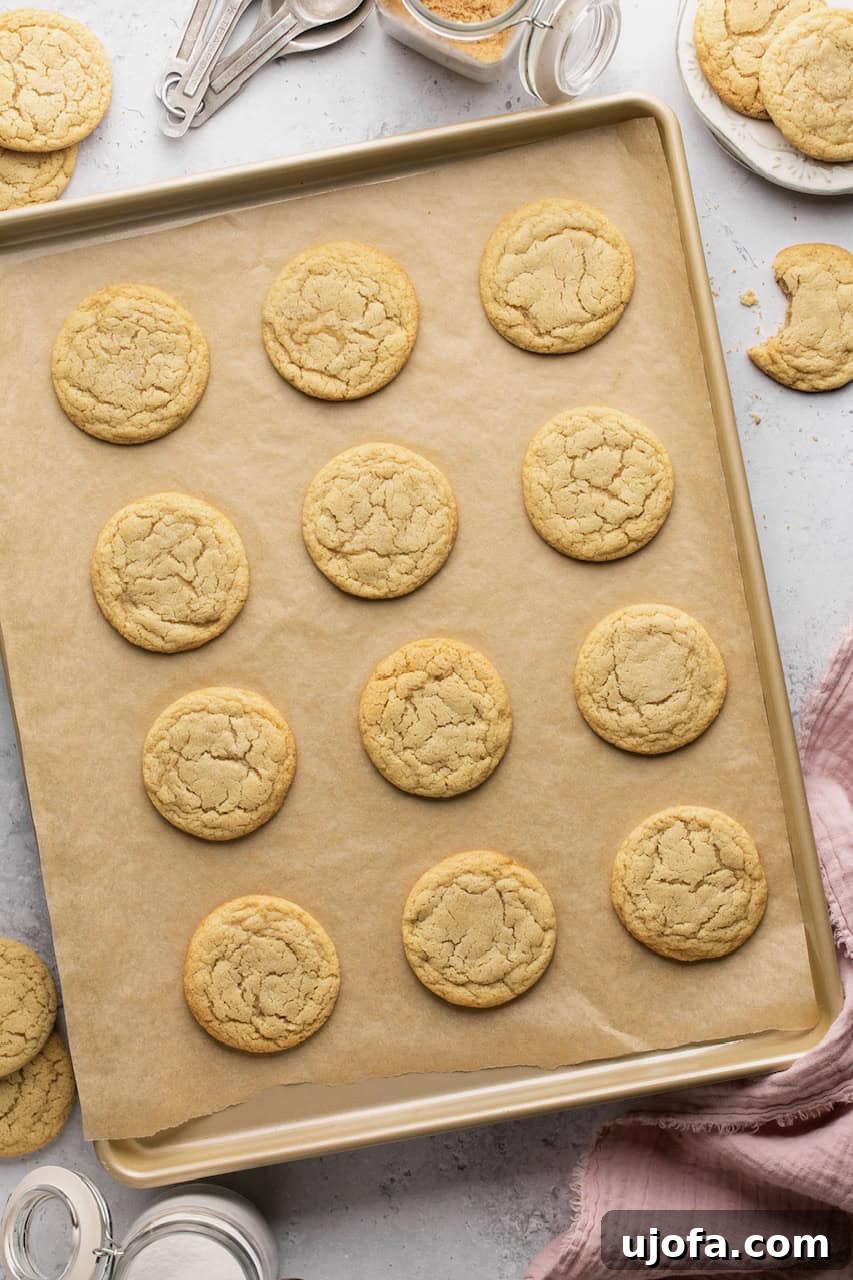 Freshly baked golden-brown chipless cookies cooling on parchment paper on a baking sheet.