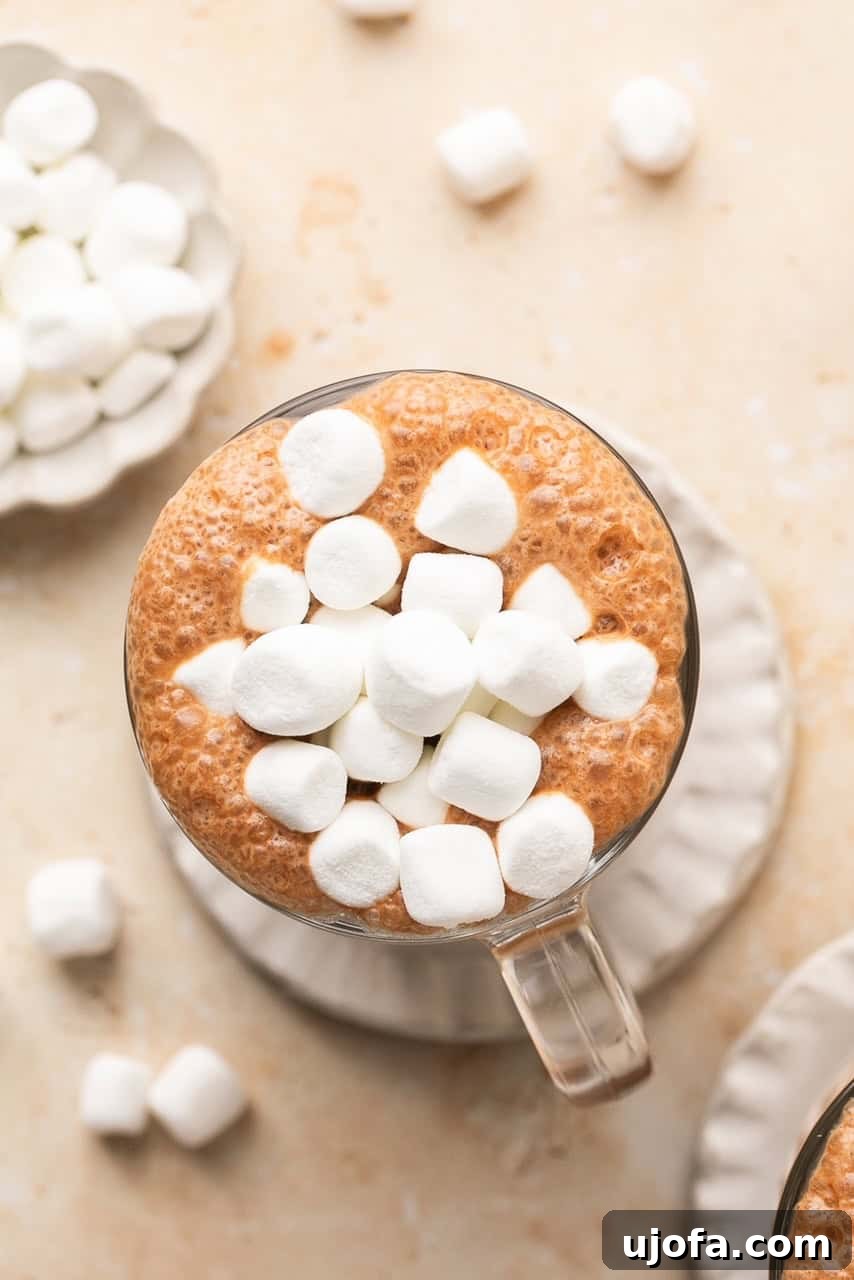 an overhead shot of bone broth hot chocolate in a glass mug topped with marshmallows 