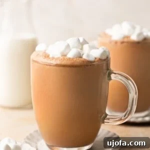 bone broth hot chocolate in a glass mug topped with marshmallows
