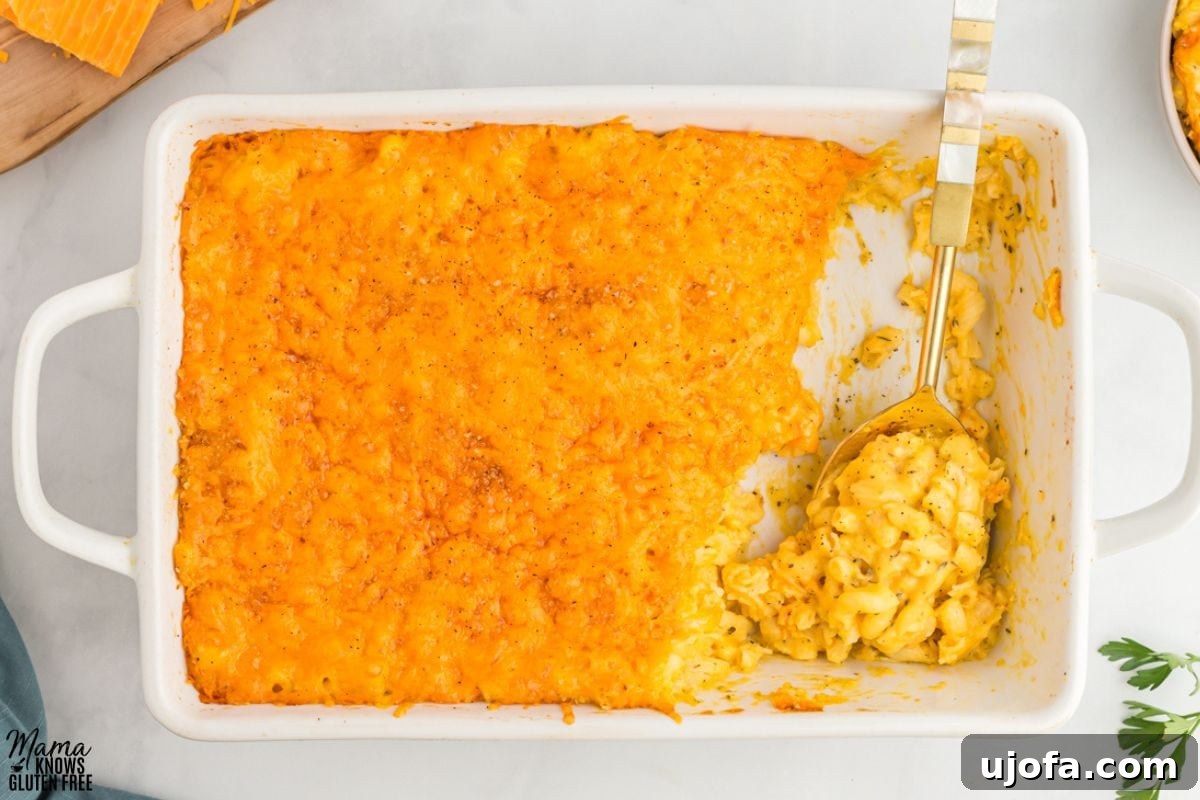 Gluten-Free Butternut Squash Mac and Cheese baked in white casserole pan scooped with large spoon