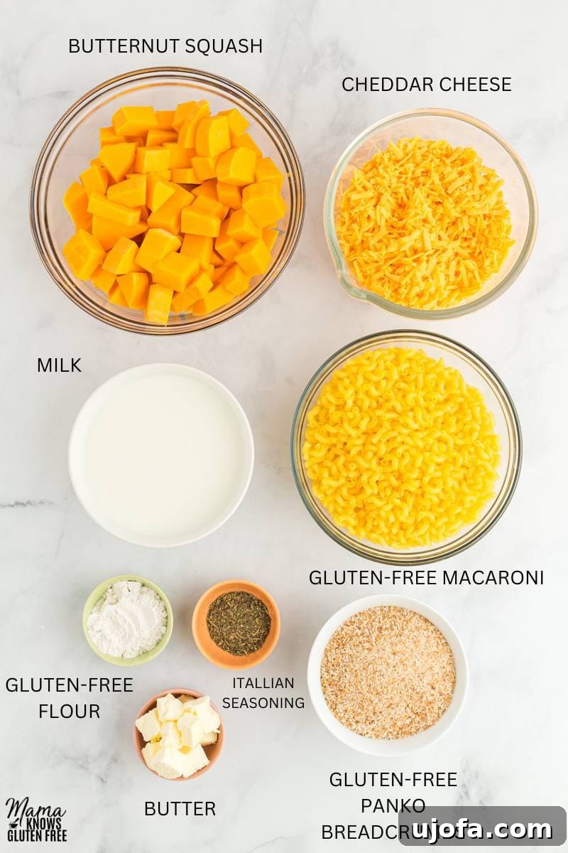 Ingredients for Gluten-Free Butternut Squash Mac and Cheese