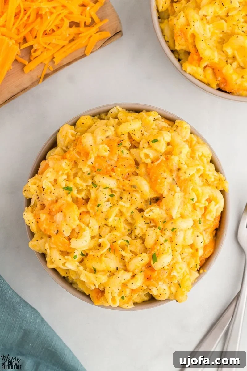 Gluten-Free Butternut Squash Mac and Cheese in a bowl shot from overhead