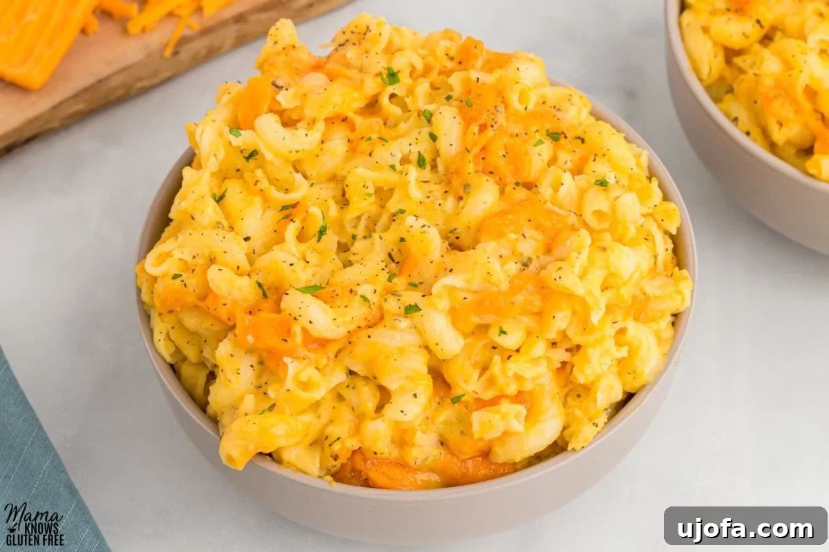Close up photo of Gluten-Free Butternut Squash Mac and Cheese in bowl