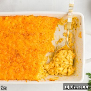 Butternut Squash Mac and Cheese Recipe Card Image
