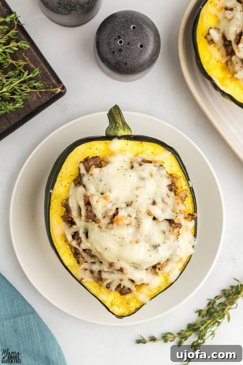 A single perfectly stuffed gluten-free acorn squash half on a white round plate, garnished with fresh herbs, ready for individual serving.