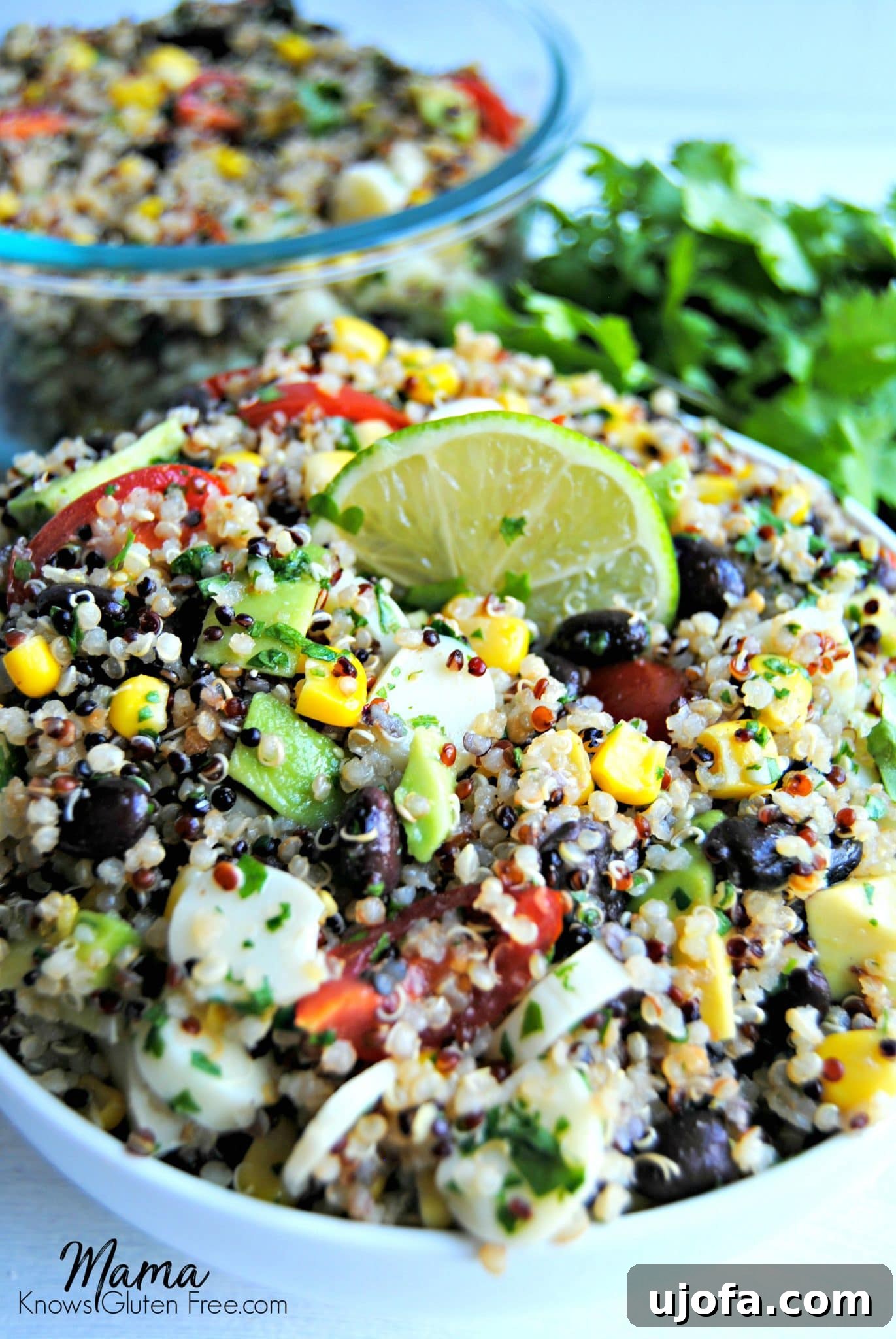 Vibrant Gluten-Free Southwestern Quinoa Salad with fresh ingredients