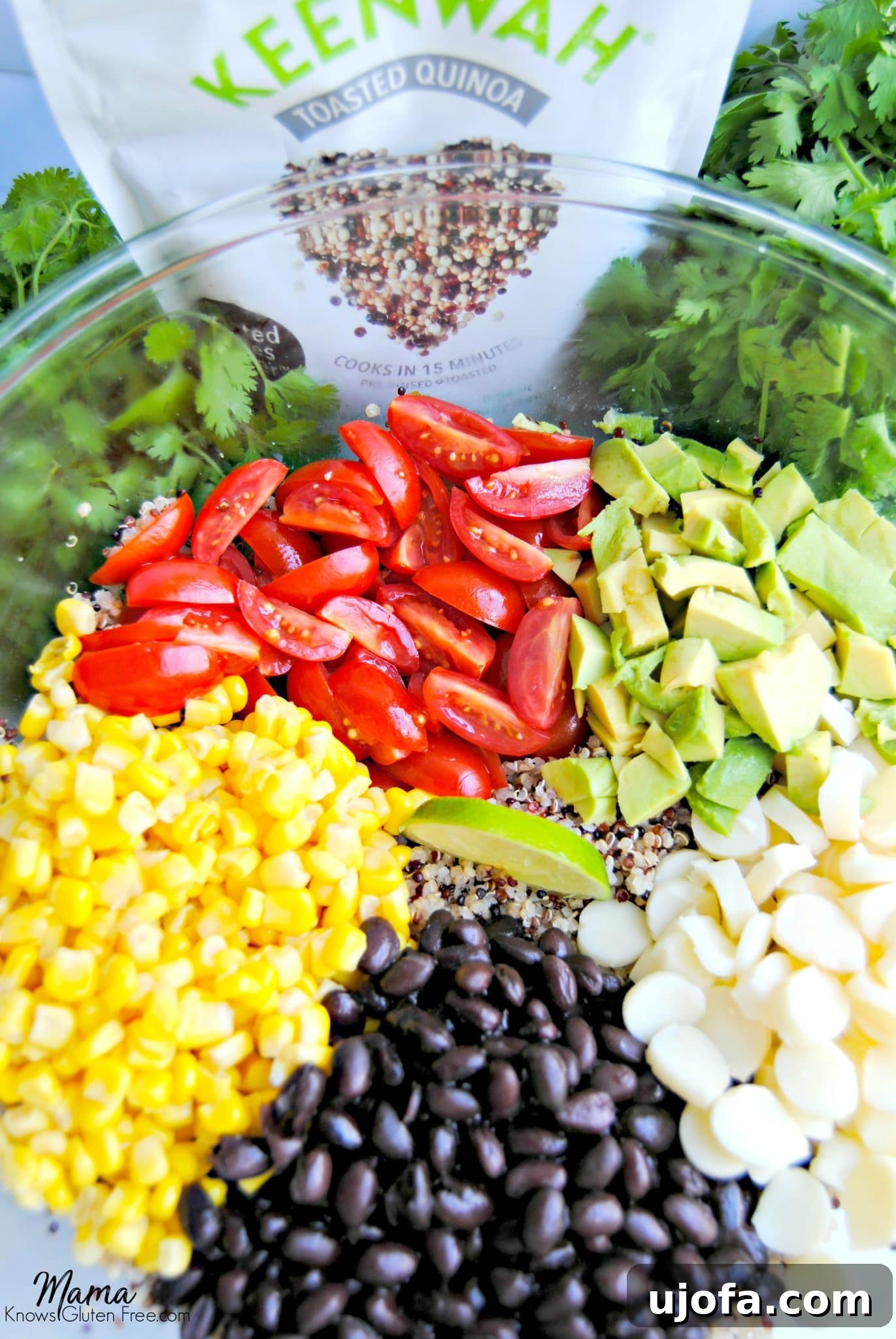 Close-up of Southwest Quinoa Salad ingredients