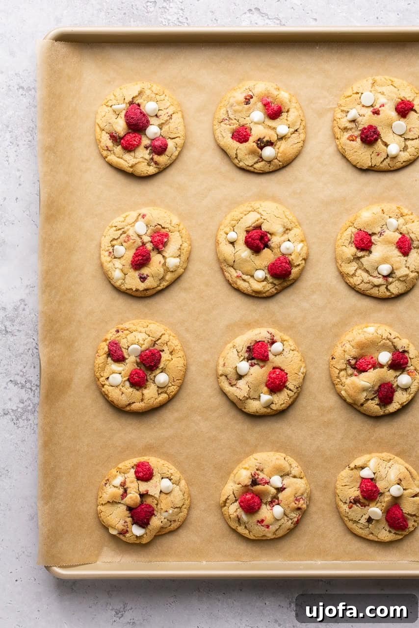 Freshly baked white chocolate raspberry cookies arranged neatly on a parchment-lined baking sheet, ready for cooling and enjoyment.