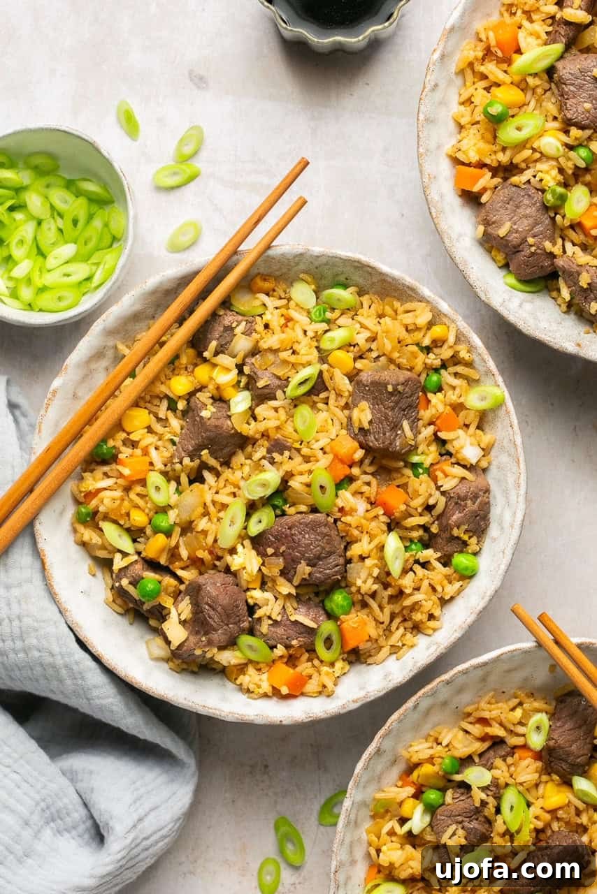 steak fried rice in bowls with chopsticks and green onions on the side