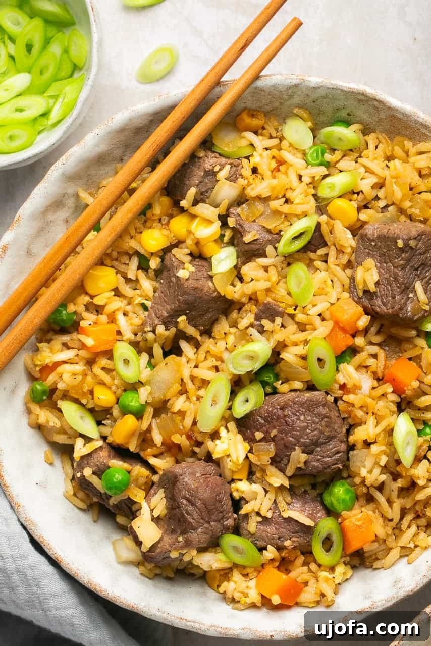 a closeup of steak fried rice in a bowl topped with green onions with chopsticks on the side