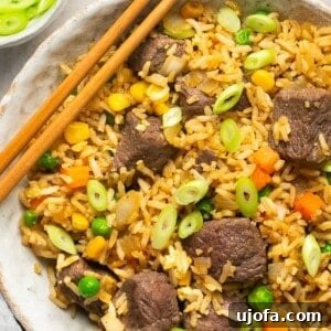 a closeup of steak fried rice in a bowl topped with green onions with chopsticks on the side
