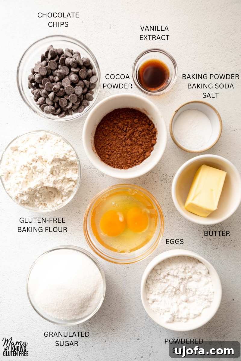 Fudgy Chocolate Crinkle Cookies Gluten Free 3 A vibrant flat lay of all the essential ingredients needed for gluten-free chocolate crinkle cookies, including butter, sugar, eggs, vanilla, cocoa, gluten-free flour, leavening agents, salt, chocolate chips, and powdered sugar.