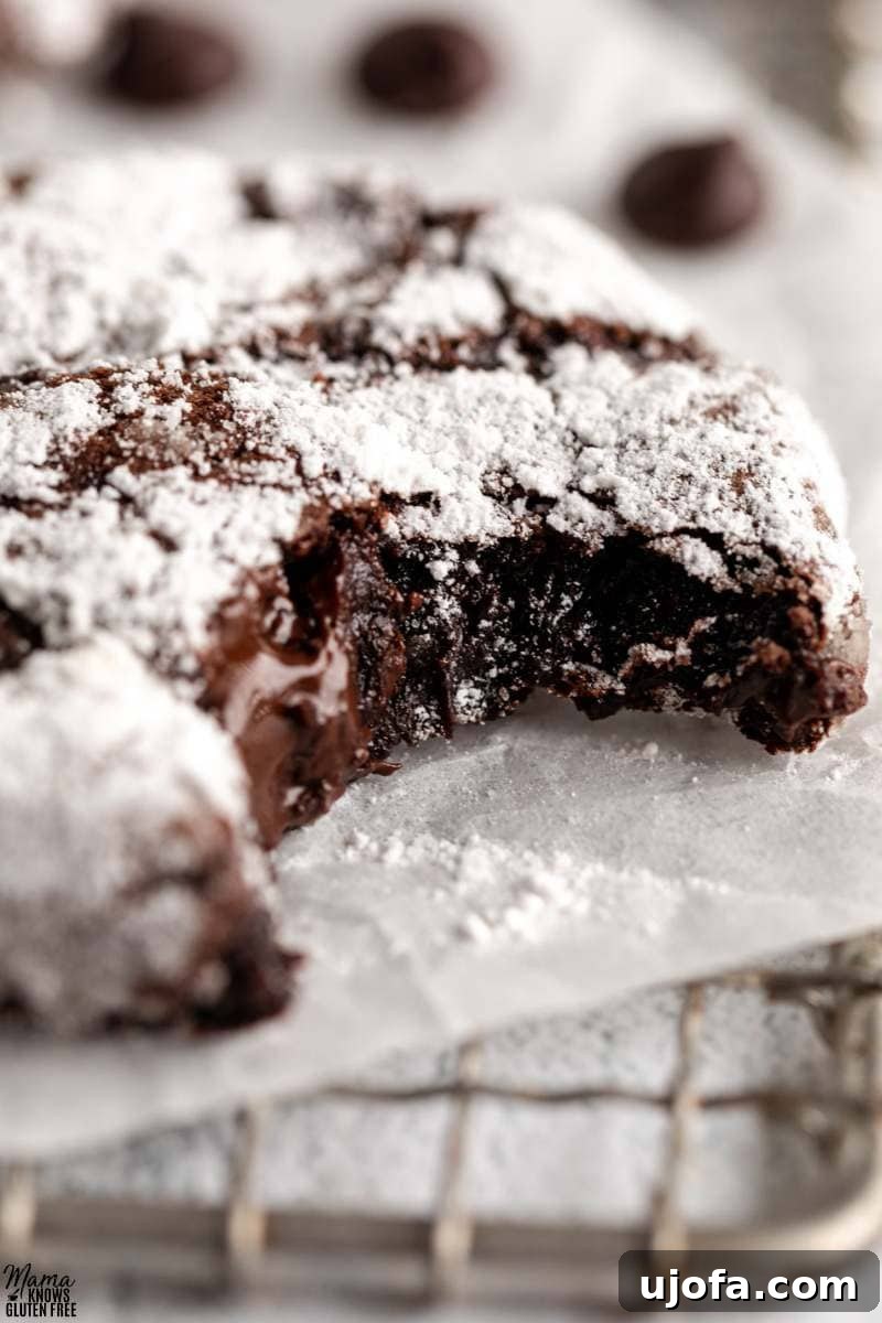 Fudgy Chocolate Crinkle Cookies Gluten Free 4 A single gluten-free chocolate crinkle cookie perfectly placed on a metal cooling rack, showcasing its beautiful cracks and powdered sugar coating.