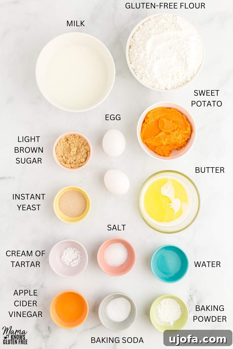 Ingredients for Gluten-Free Sweet Potato Rolls measured out in bowls.