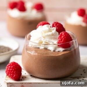 a side view of chocolate protein chia pudding
