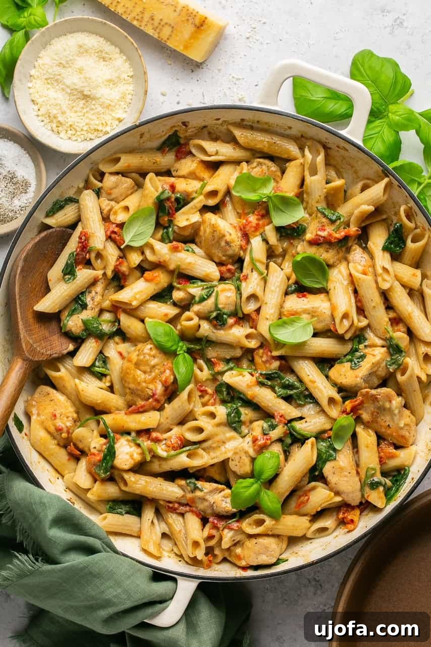 One Pan Proposal Chicken Pasta 6 Creamy sun-dried tomato chicken pasta in a bowl with spinach and penne, ready to serve.