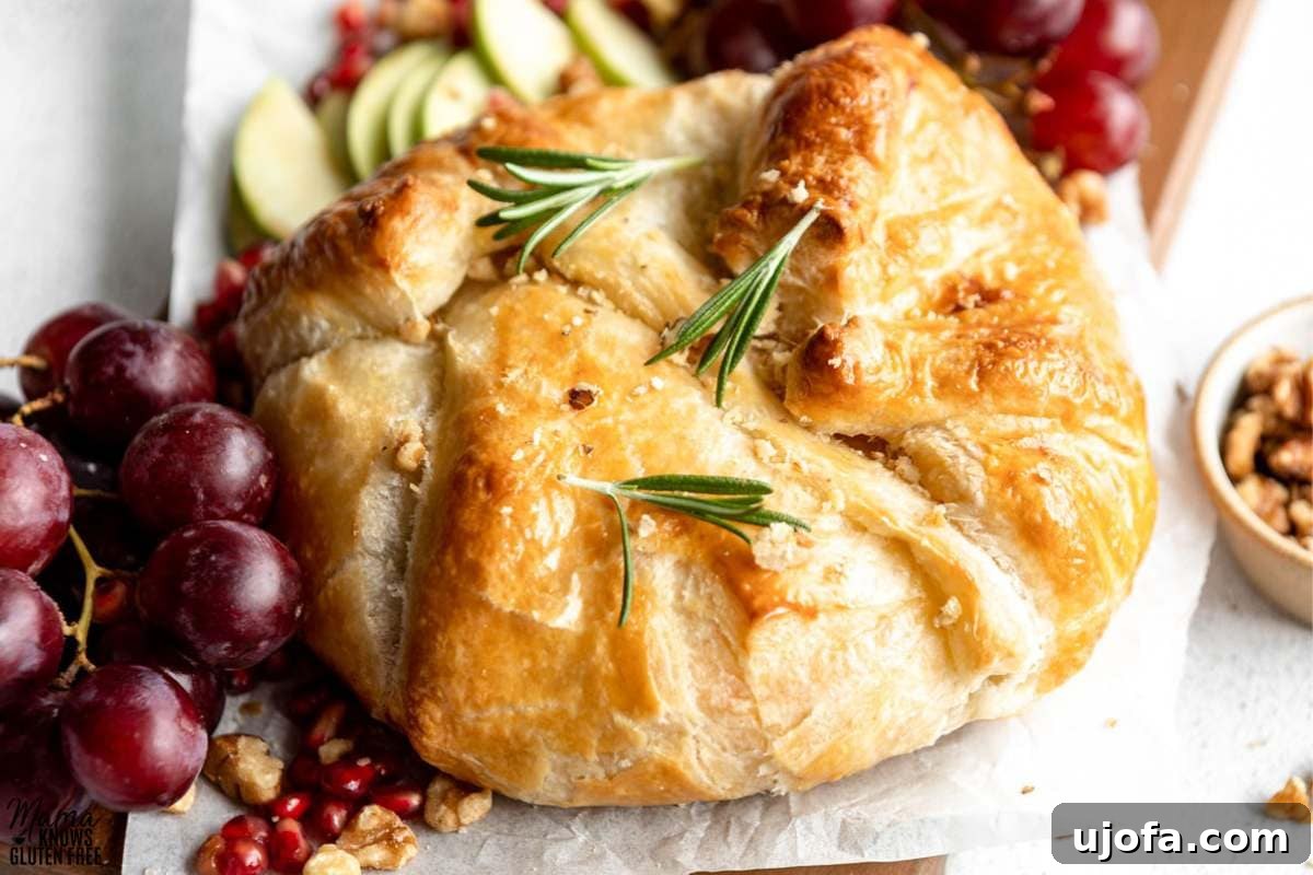 Close up shot of Gluten-Free Baked Brie surrounded by grapes and apple slices.