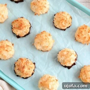 Golden-brown gluten-free coconut macaroons cooling on a blue cookie sheet, showcasing their inviting texture and color.