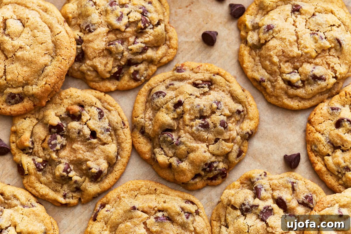 A batch of golden-brown gluten-free chocolate chip cookies cooling on a parchment-lined baking sheet, showcasing their classic look and promise of deliciousness.