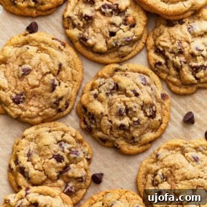 An overhead view of numerous gluten-free chocolate chip cookies, artfully arranged to highlight their rich, gooey chocolate centers and inviting golden-brown edges.