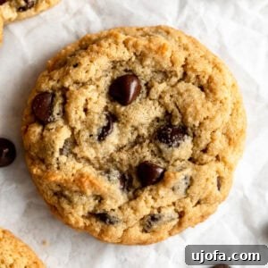Perfectly baked almond flour chocolate chip cookies, showcasing their golden-brown edges and inviting texture.