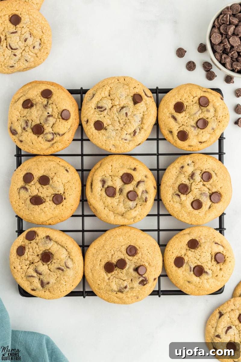 Wholesome Oat Chocolate Chip Treats 2 Oat Flour Chocolate Chip Cookies on wire rack.