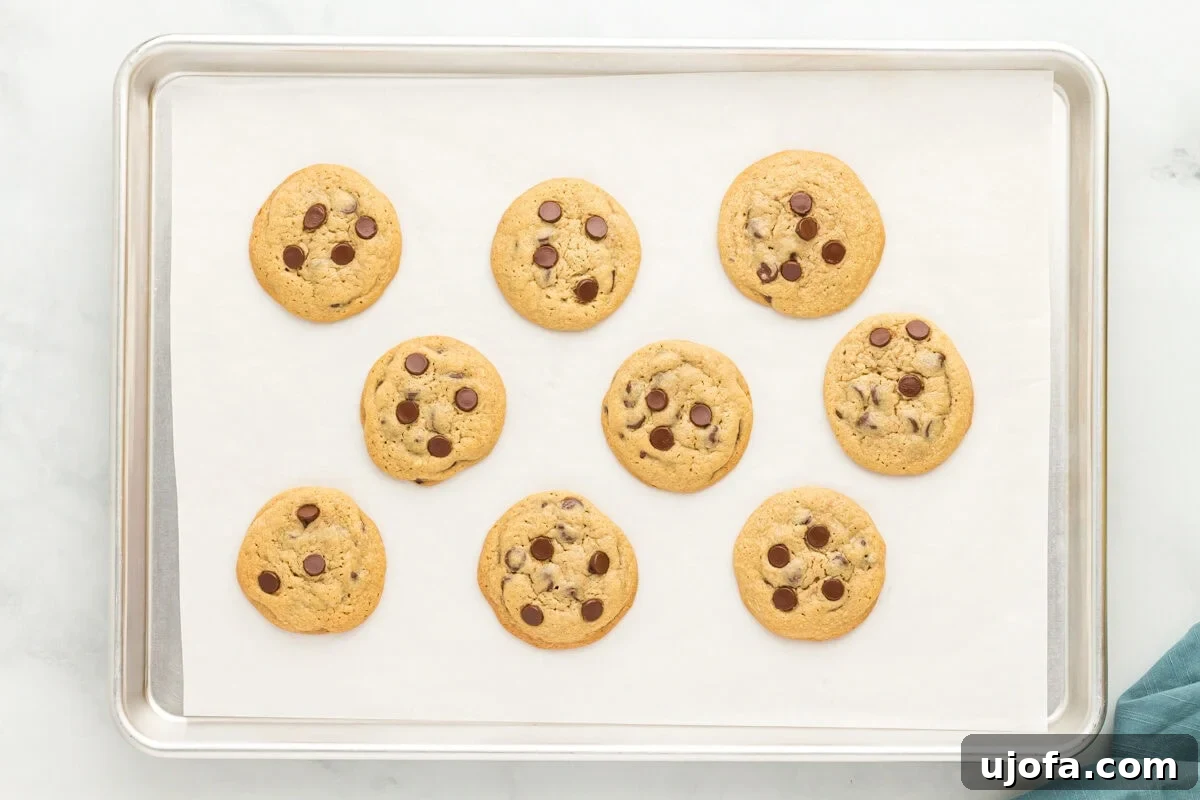 Wholesome Oat Chocolate Chip Treats 13 Oat flour chocolate chip cookies on a baking sheet.