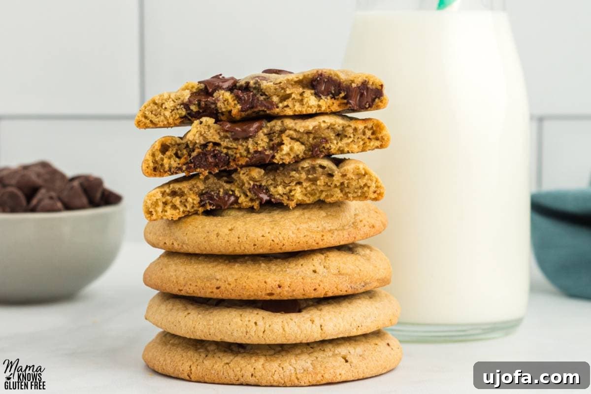 Wholesome Oat Chocolate Chip Treats 4 Stack of Oat Flour Chocolate Chip Cookies