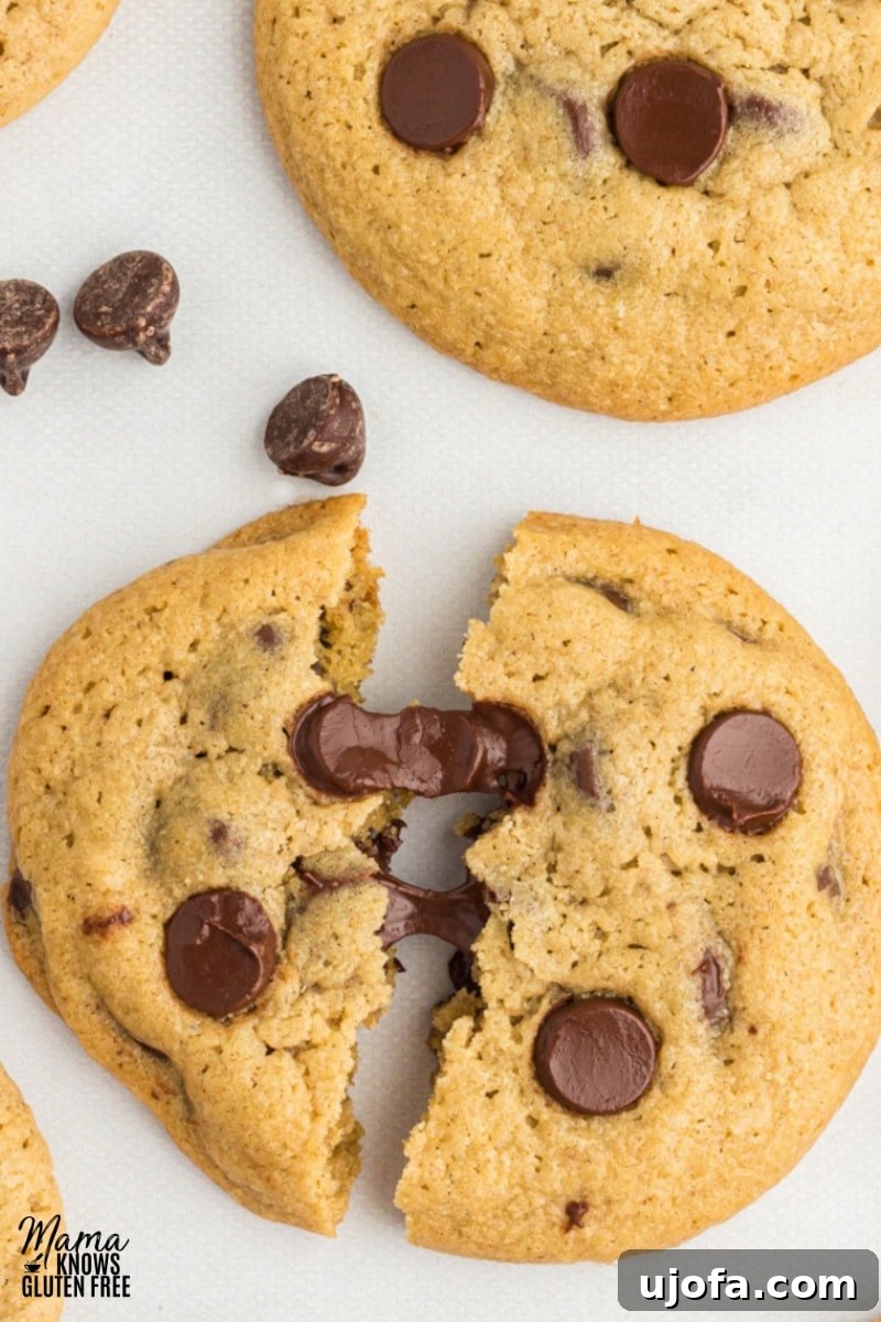 Wholesome Oat Chocolate Chip Treats 5 oat flour chocolate chip cookies broken in half to show chocolate gooeyness