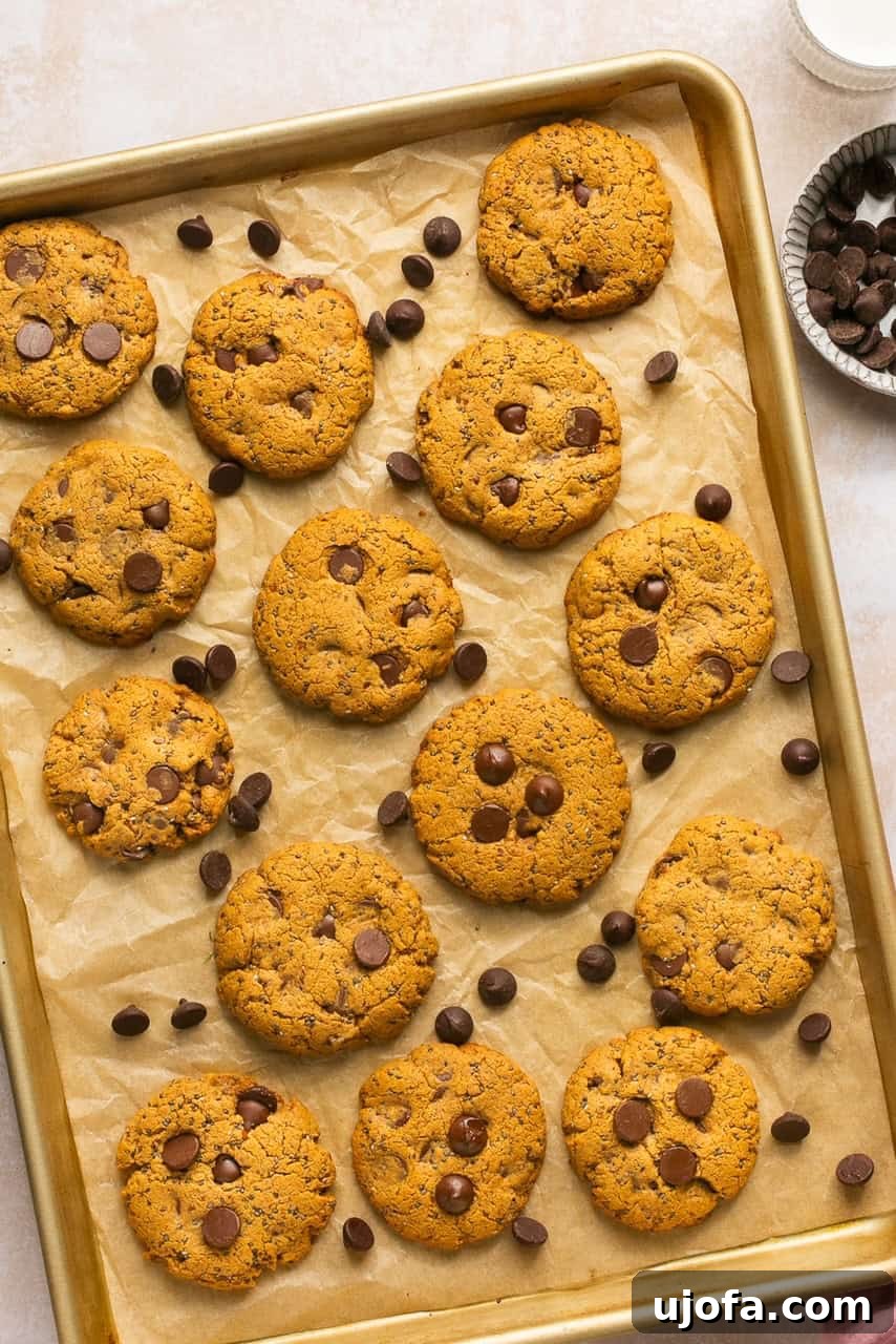 protein cookies on a cookie sheet 