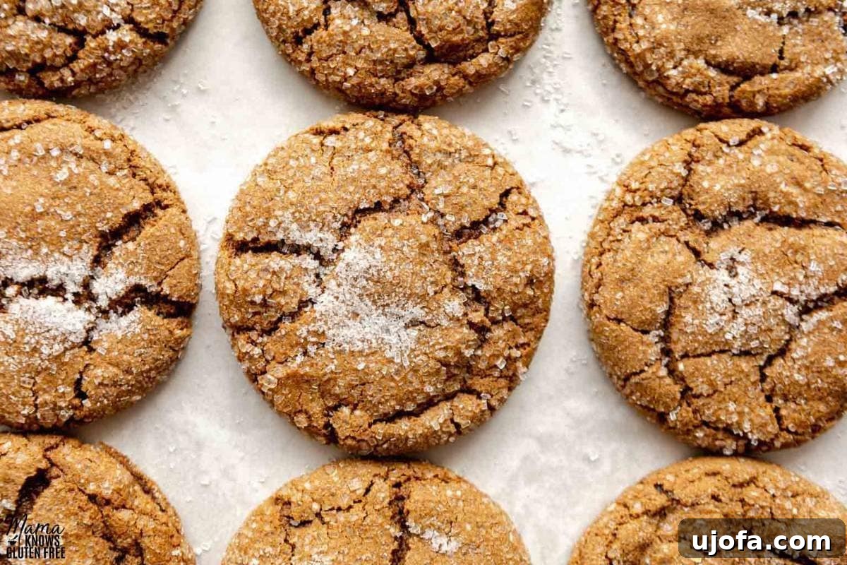 Soft & Chewy Gluten-Free Molasses Spice Cookies 2 Beautifully arranged gluten-free molasses cookies on a white background, highlighting their rich color and crackly sugar coating.