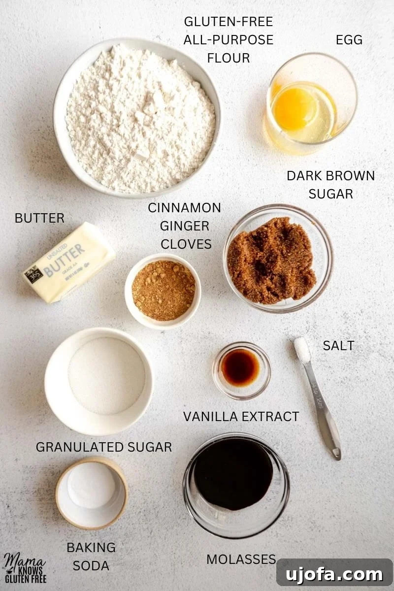 Soft & Chewy Gluten-Free Molasses Spice Cookies 3 A collection of ingredients laid out for making gluten-free molasses cookies, including butter, sugars, spices, and molasses.